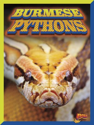 cover image of Burmese Pythons
